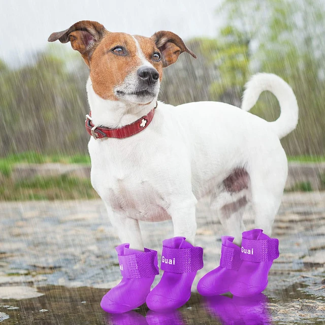 4 pezzi scarpe per cani da compagnia stivali da pioggia