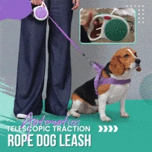 Newest Automatic Telescopic Traction Rope Dog Leash Fashion Printed Puppy Auto Nylon Walking Leash For Small Dogs Cats Pet Leads