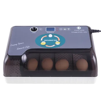 

12 Eggs Automatic Farm Hatchery Eggs Incubator Poultry Chicken Bird Quail Brooder Machine Livestock Breeding Equipment