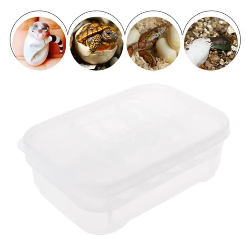 

Professional Hatch Box Snake Lizard Reptile Egg Tray Boxes Hatching Device Climbing Pet Tortoise Turtle Incubator Supplies