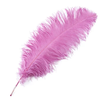 

Wholesale Pink Ostrich Feathers 45-70cm 18-28 Inch Carnival Party Wedding Decorations Natural Ostrich Feather For Crafts Plumes