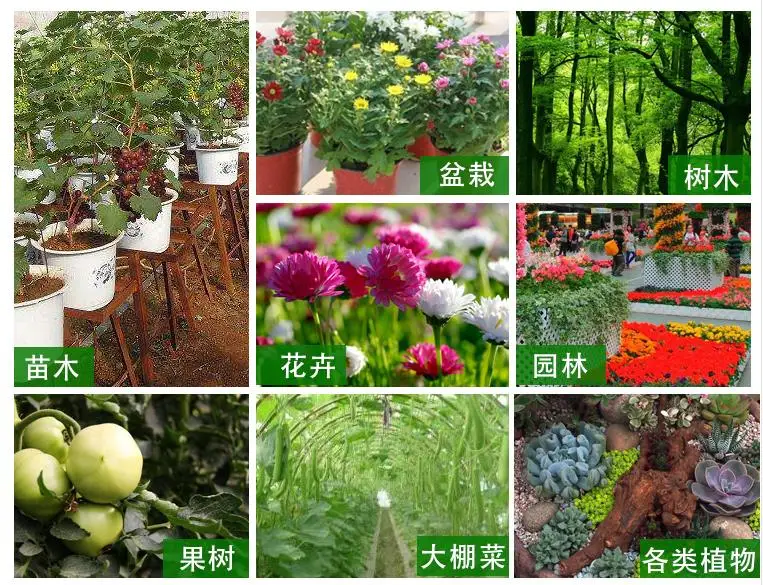 QQ浏览器截图20200513222038