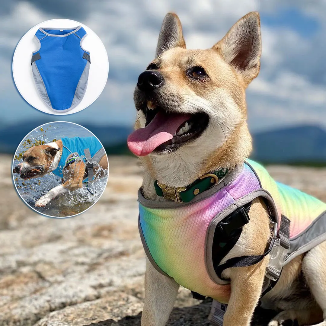 Chaqueta de perro al aire libre para perros medianos y ropa de verano para cachorros, chalecos refrescantes de arcoíris Bulldog Francés, Chihuahua, Dropshipping - Hogar jardín