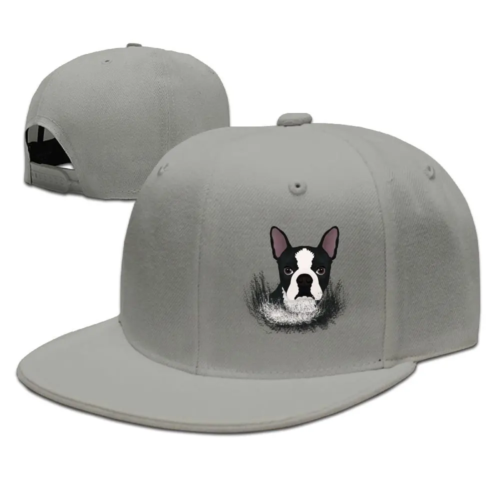 TSDFCPuppy Бостонский терьер собака унисекс бейсболка Регулируемая плоская бейсболка