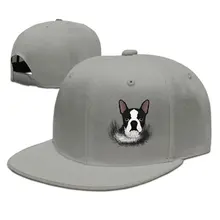 TSDFCPuppy Бостонский терьер собака унисекс бейсболка Регулируемая плоская бейсболка