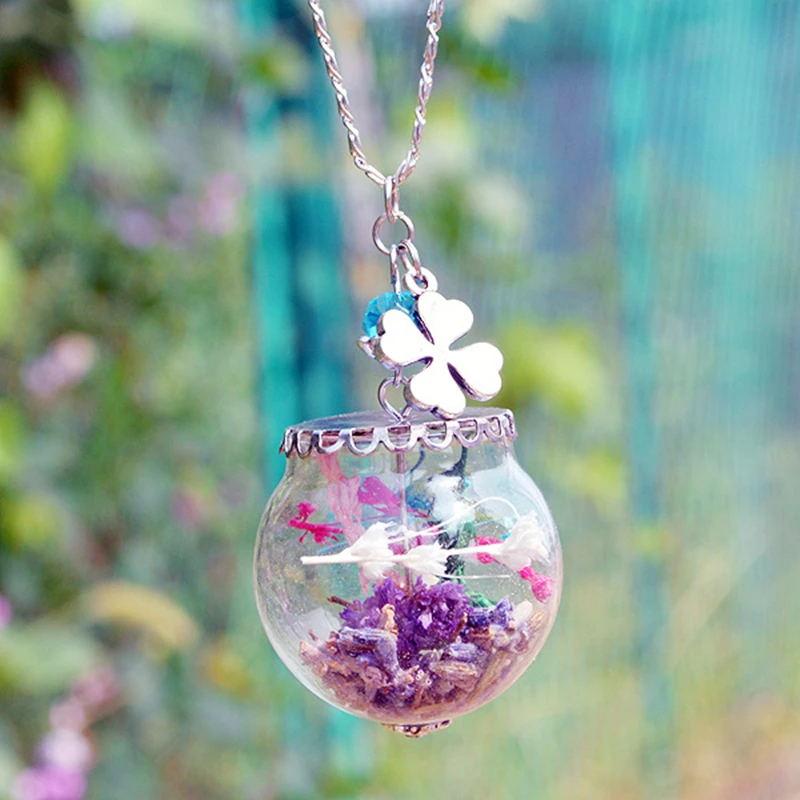 2723703979_1217306215