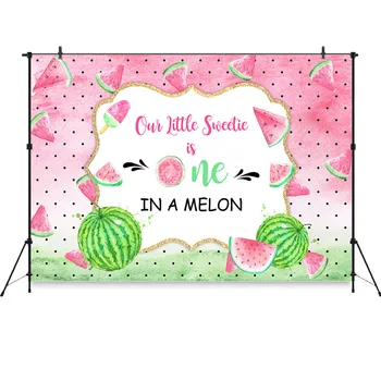 

Sweetie Watermelon Party Backdrop One in a Melon Birthday Party Photography Background First Birthday Pink Melon Party Decor