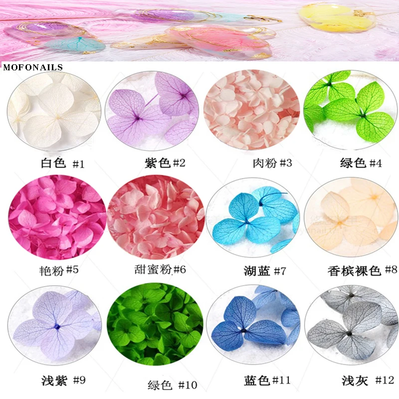 

12 Boxes/set Nail Dry Sticker Decals Mixed Colorful 3D Dried Sticker Real Flower Natural Floral Sticker DIY Nails Art Decoration