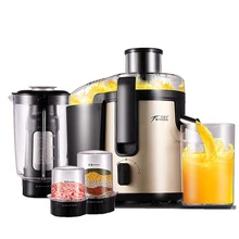 Household Juicer Stainless Steel Multi-function Meat Grinder Ice Crusher Powder Machine Electric Juice Extractor