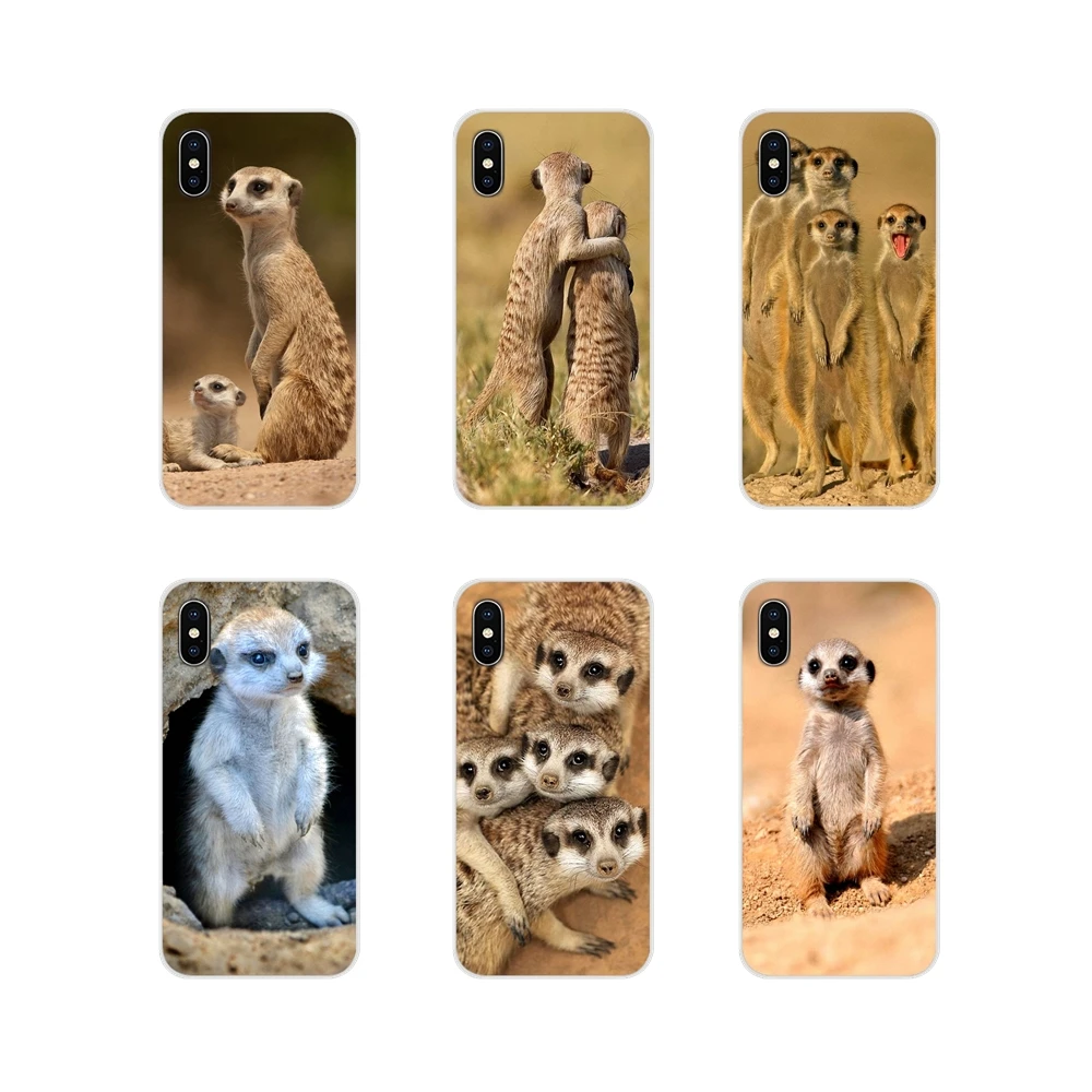 Accessories Phone Cases Covers For Huawei Mate Honor 5X 6X 7 7A 7C 8 9 10 8C 8X 20 30 Lite Pro animal mob of meerkats | Мобильные