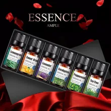 10ml 6 bottles100 % puro natural aromaterapia óleos kit 10ml para umidificador difusor aromaterapia água-solúvel óleo da fragrância