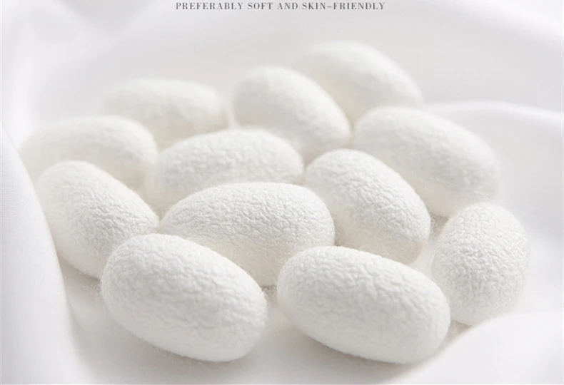 O1CN01z2BOEI2Iz65inS8XG_!!3934939356