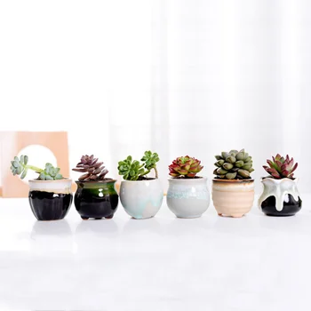

6pcs Creative Ceramic Succulent Plant Flower Pot Variable Flow Glaze for Home Room Office without Plant