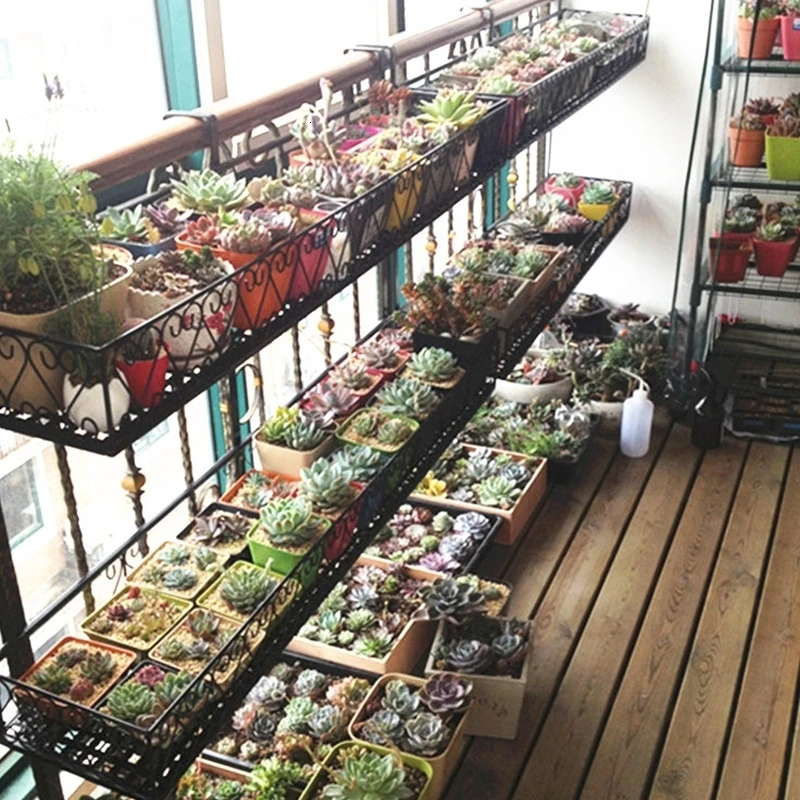 

Rack Chlorophytum Multi-storey Iron Art Of Wall Mounted Shelf Suspension Botany Flower Rack Simplicity Windowsill Flower Rack