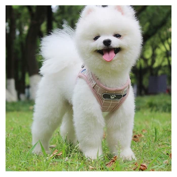 

Polyester Mesh Breathable Reflective Dog Cat Harness And Leash Set Dogs Vest Harness Leads Pet Clothes For Small Medium Pets Dog