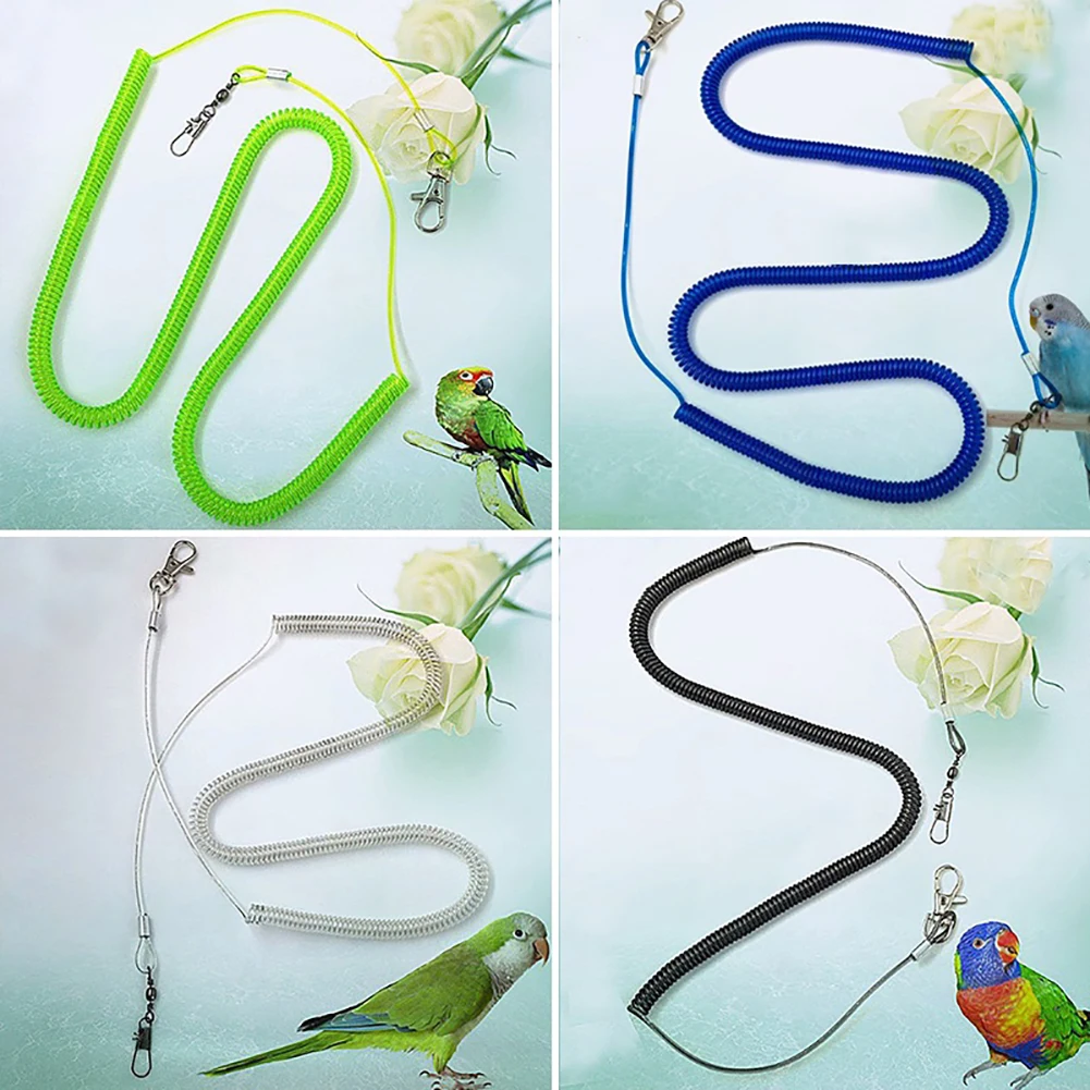 Parrot-Bird-Leash-Flying-Training-Rope-Straps-Parrot-Cockatiels-Starling-Budgie-Training-rope-Bird-Supplies.jpg