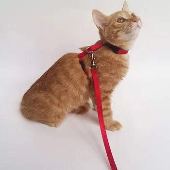 

Dog Cat I-shaped Leashes Nylon Adjustable 120cm Pet Chest Strap Rope Leash Puppy Kitten Chain for Small Dogs Cats Pet Supplies