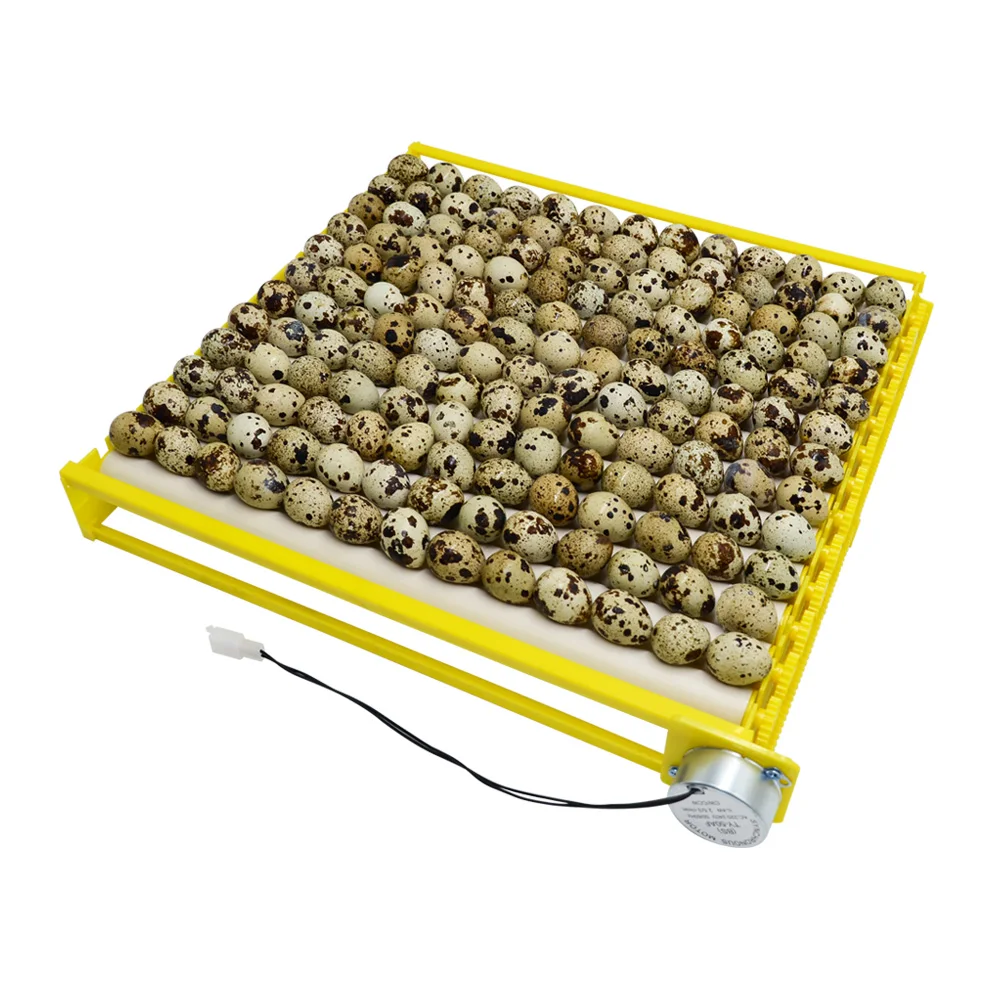 Automatic Roller Egg Tray 360&deg; Rotary Egg Turner 220V Eggs Incubator Pattern Incubation Accessory Bird Chicken egg incubator