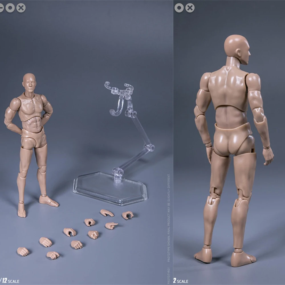 

1/12 Scale Male DARWMAN Body Action Figure With Accessories DAMTOYS DPS01