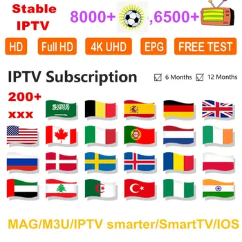 

xxx IPTV Subscription Italy Belgium UK USA IPTV Canada Spain Portugal Arabic Sweden Poland Smart IPTV M3U Samrter No APP Include