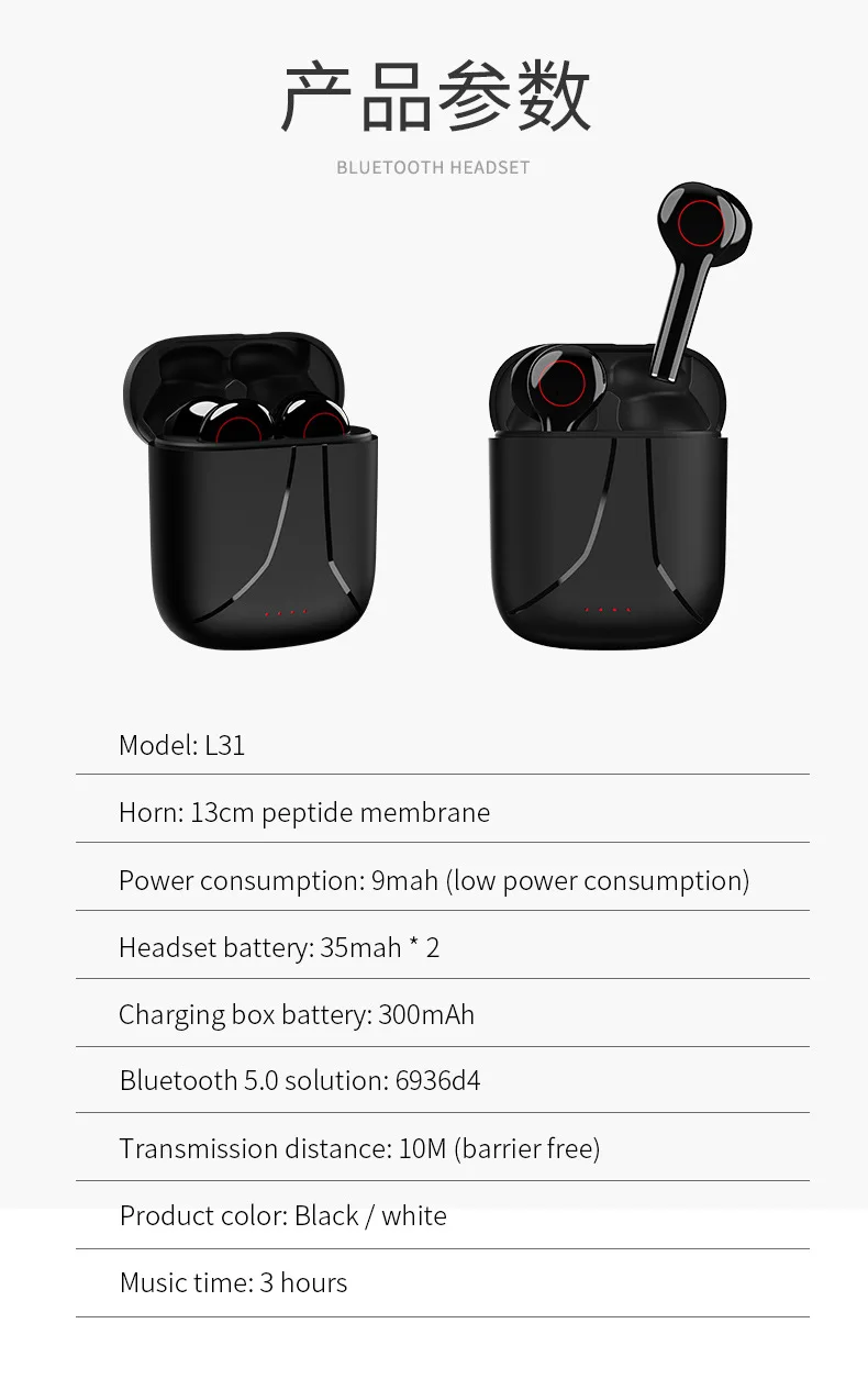 L31 (15)