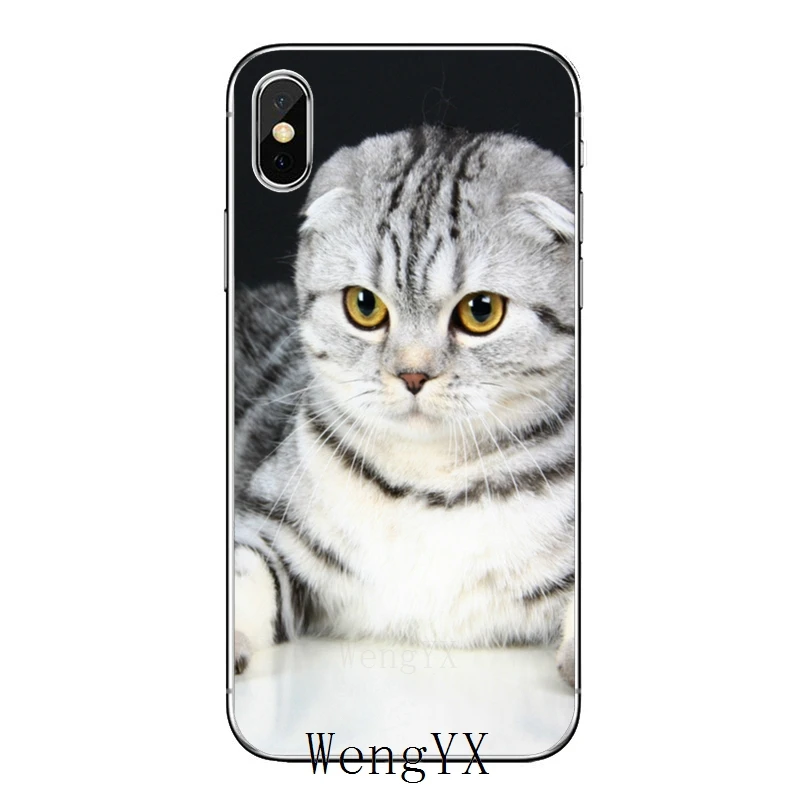 Шотландский Сложите cat для Xiaomi Redmi Note 6 5 5A 4 3 pro S2 5 plus 6A 4A 4x Pocophone F1 чехол - Цвет: fold-cat-A-08