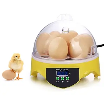 

30W Mini 7 Egg Incubator Poultry Incubator Brooder Digital Temperature Control Egg Incubator Hatcher for Chicken Bird Egg