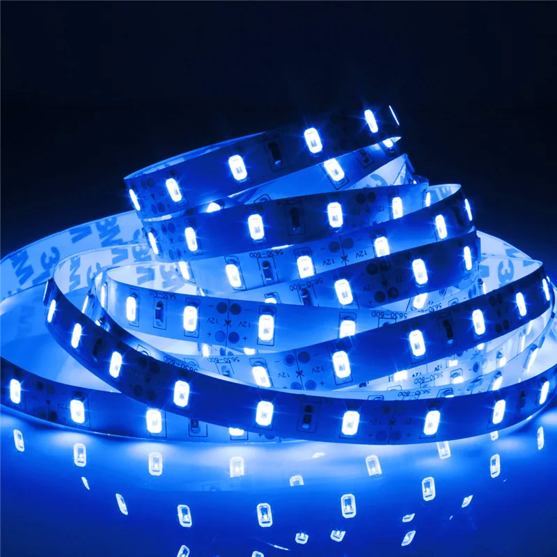 LED Strip 12V 5M Brightness Waterproof Light Red/Blue/GreenLED Lighting for Club Hotels Shopping Malls Performances Decoration - Испускаемый цвет: POA492257
