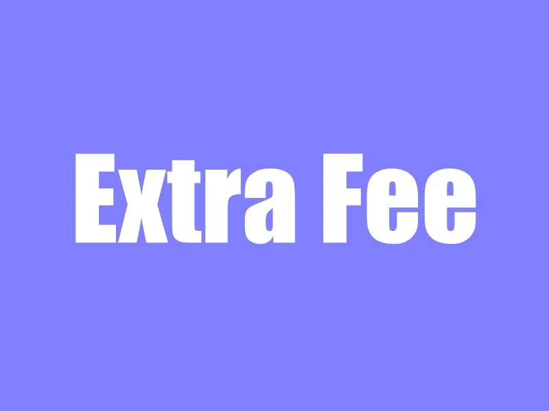 

Extra Fee for your orders in BJDZONE SHOP High Quality Toys Shop
