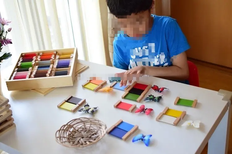 

63 COLOR Educational Toys 12pcs butterfly Montessori Sensorial Material Learning Color Tablet Box Puzzle Preschool Toy