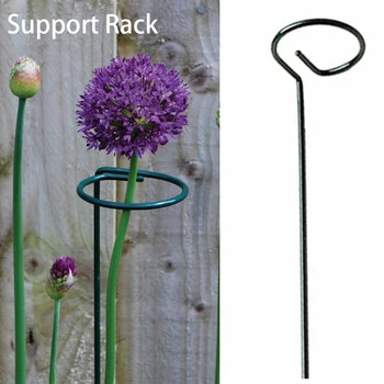 

10pcs Green Iron Wire Holder Plant Support Stake Single Stem Agriculture Durable Top Ring Flower Branch Balcony Farming