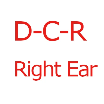 DCR Right Ear Лучший цифровой программируемый внутриканальный слуховой аппарат усилитель звука повторный Мини цифровой слуховой аппарат для глухих - Цвет: DCR Right Ear