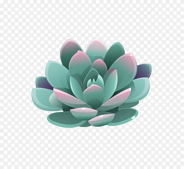 多肉植物png图片素材免费下载 图片编号yzoprzvz Pngbag素材网