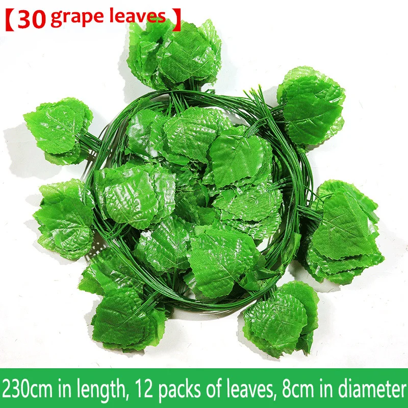 12379947078_1759274708