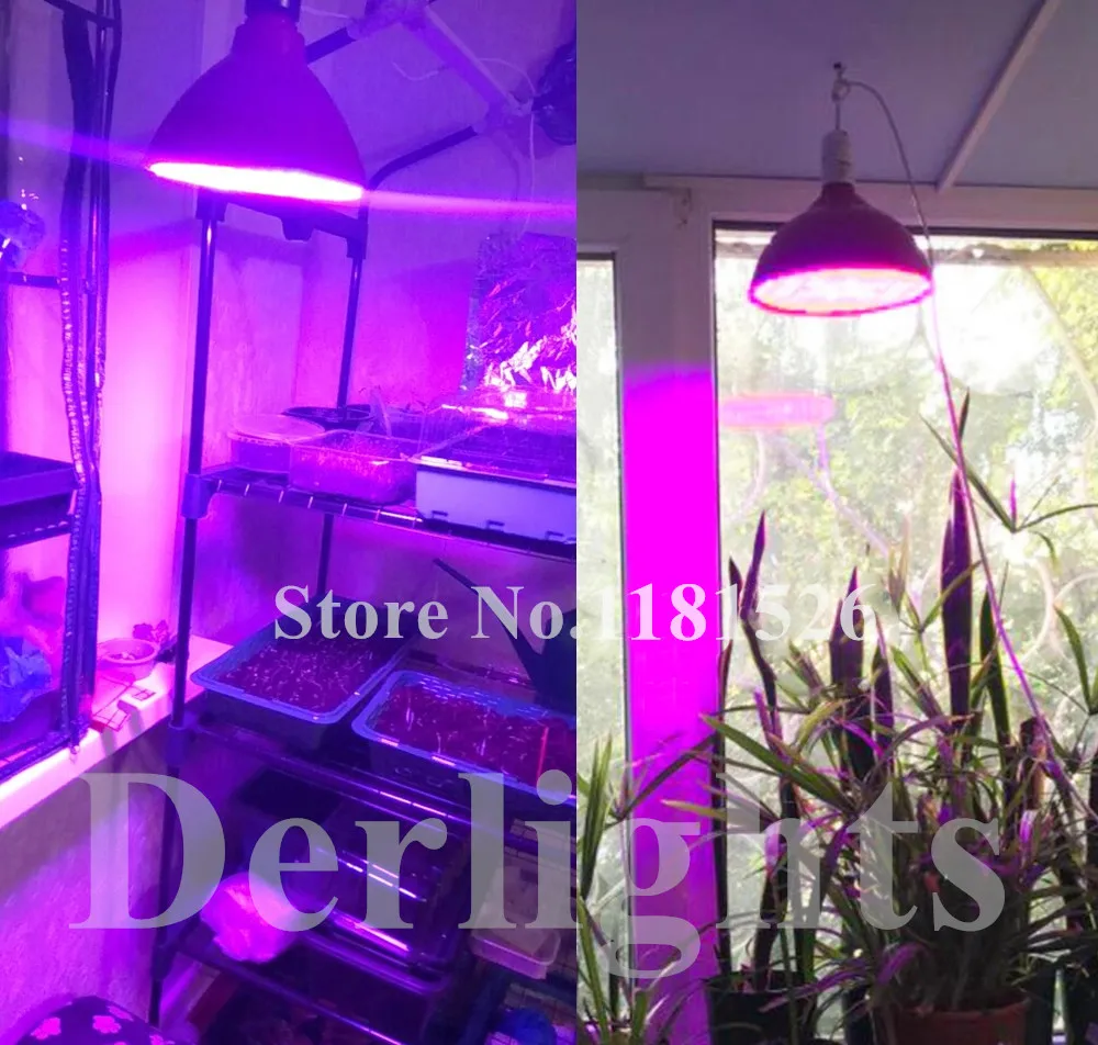 HTB1CTYex9tYBeNjSspaq6yOOFXav