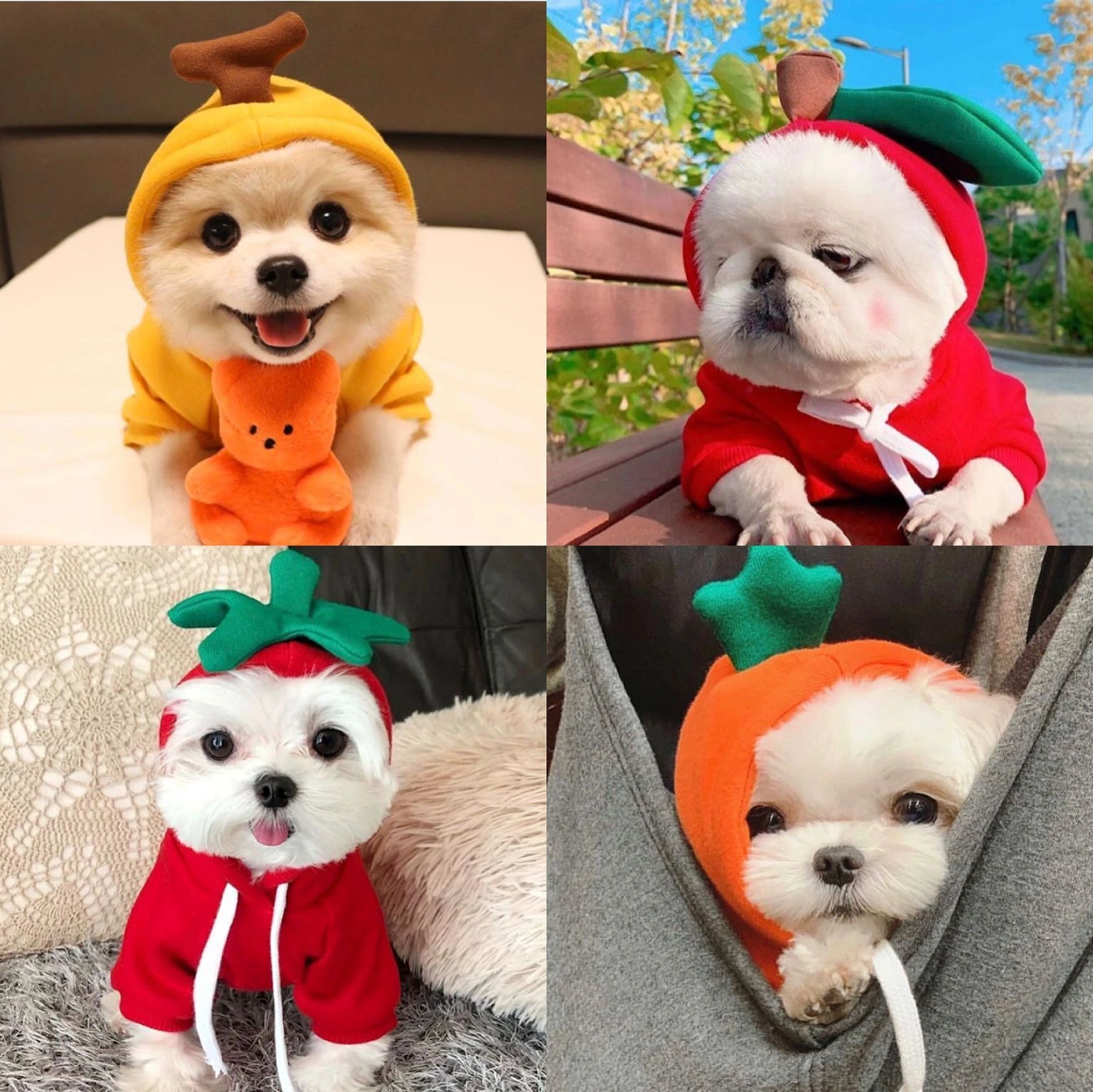 Ropa De verano para perros medianos coreanos, Ropa De lujo barata para Pug, sudaderas con capucha para Perros Shih Tzu, accesorios para mascotas QKK6GJK|Abrigos y para AliExpress