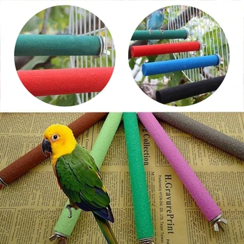 

1P Parrot With Funny Functional Bird Carnival Parrot Drum Toy Frosted Stone Parrot Molar Rod Toys Wood Claw Bar Bird Supplies