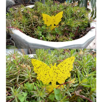 

50 Piece Wood Board To Catch Insecticide Pest Control Glue Sticker Double-Sided Yellow Sticky Trap Flies Trap Insect Stick