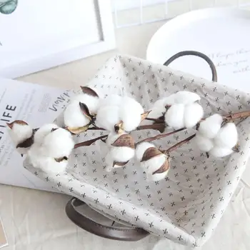 

Dried white Cotton Fake Flowers Stems Farmhouse Style Flower Pompom oct Naturally Filler 5 Floral Artificial