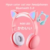 Portable Audio 