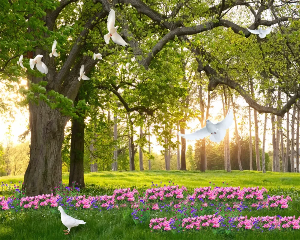 de tv arvores ceu azul grama madeira 01