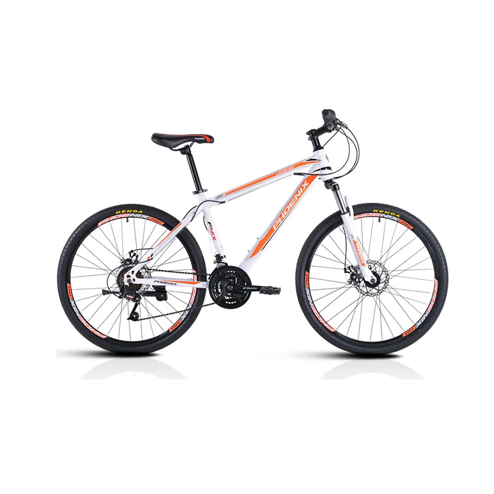 phoenix 2605 mountain bike