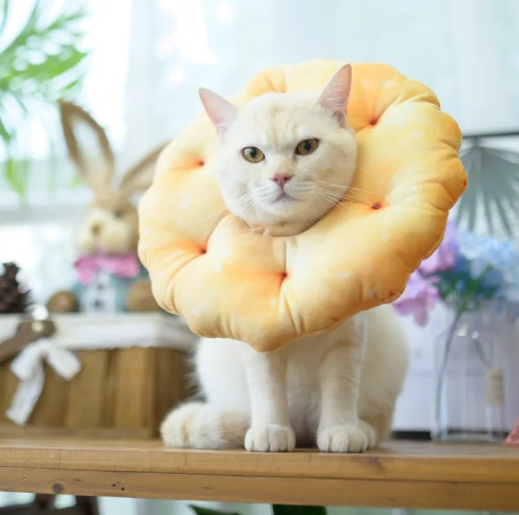 Ошейник для кота печенье дизайн Pet Елизаветы Воротник ошейник собаки в форме