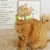 Pet Dog Cat Kitty Плюшевый Шар Конфеты Ожерелье Украшения Мягкий Воротник Кошка Ожерелье Сладкий Питомец Шарф Щенок Шеи Уход Аксессуары