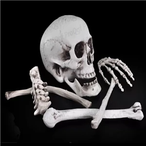 Prodgf 1Pcs A Set Skeleton Halloween Decoration ghost room use - Цвет: 1pcs price