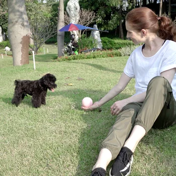 

Smart Interaction Ball Pet Toy 360Degree Self Rotating Ball Remote Control Multifunction Ball Cat Dog Toy JS22