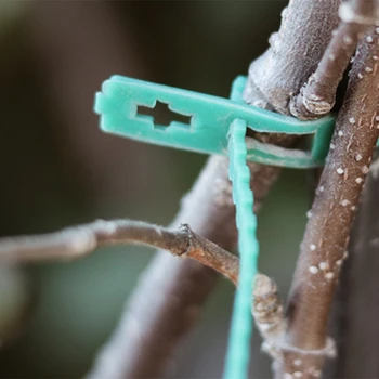 

5PCS Gardening Acessories Fixed Buckle Garden Bandage Fishbone Cable Gardening Supplies