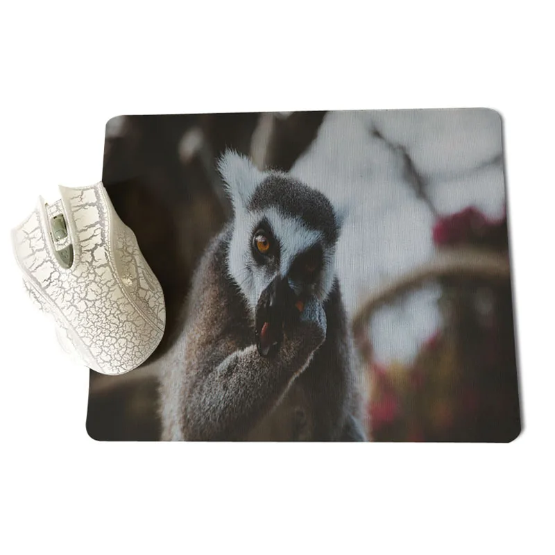 25X29cm Высокоскоростной коврик для мыши Lemur размер для 180x220x2 мм и 250x290x2 мм маленький коврик для мыши - Цвет: 25X29cm