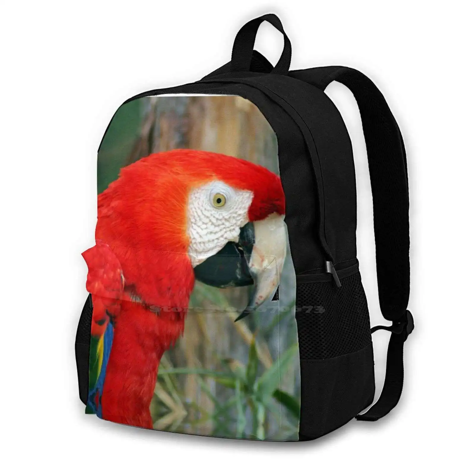 

Дорожный рюкзак для ноутбука Macaw Ara, школьные ранцы с рисунком птицы, Ара дикого Ара красного, натурального и зеленого цвета