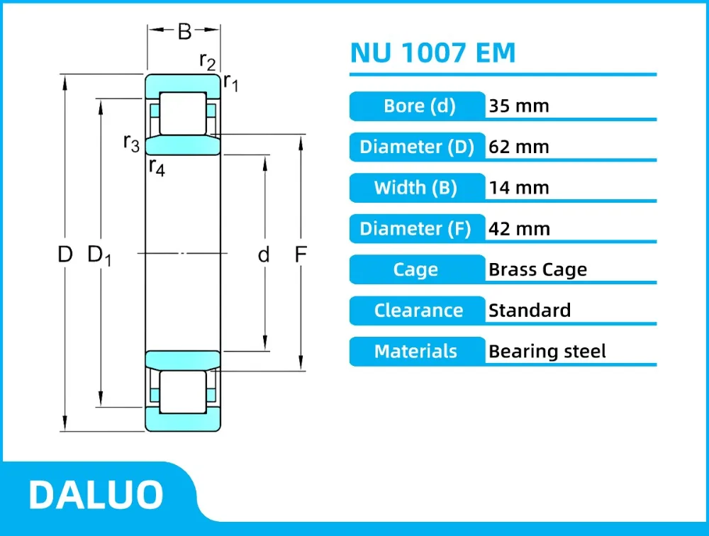NU1007EM DALUO BEARINGS 1